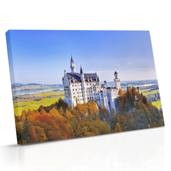 Neuschwanstein Castle on the Hill Canvas Print