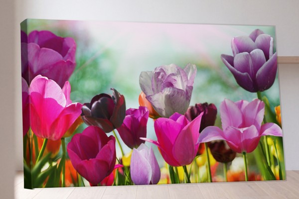 Impressão em Tela Vale de Tulipas - na parede num interior