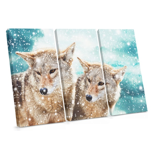 Snow Wolf in Winter Wilderness Canvas Print