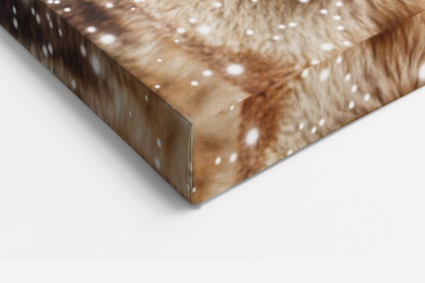 Sniega vilks ziemas savvaļā - audekla prints - uz sienas telpā