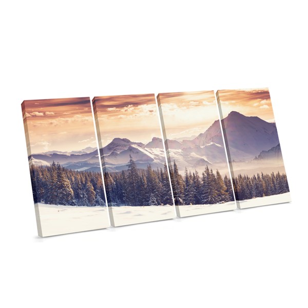 Mountain Charm Forest Landscape Canvas Print