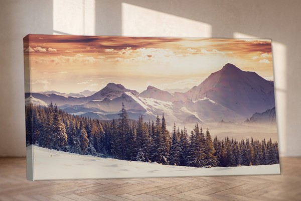 Mountain Charm Forest Landscape Canvas Print - on the wall in a room interior