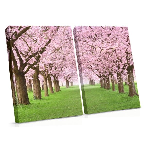 Spring Blossoms in Morning Light Canvas Print