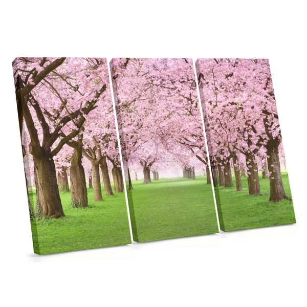 Spring Blossoms in Morning Light Canvas Print