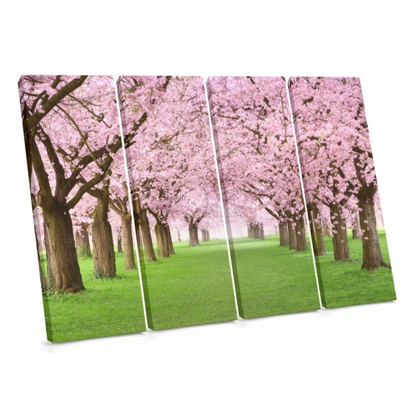 Spring Blossoms in Morning Light Canvas Print