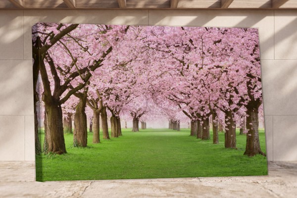 Lienzo Flores de Primavera en Luz Matutina - en la pared de un interior