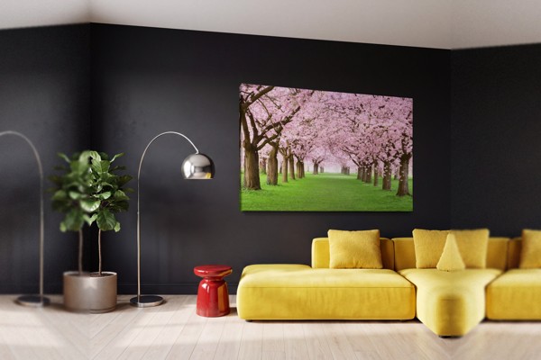 Lienzo Flores de Primavera en Luz Matutina - en la pared de un interior
