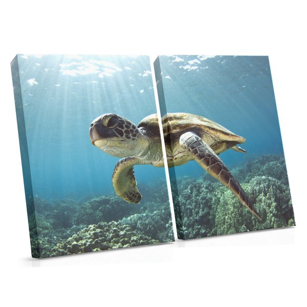 Piekrastes jūras ainava ar tirkīza ūdeņiem - audekla prints