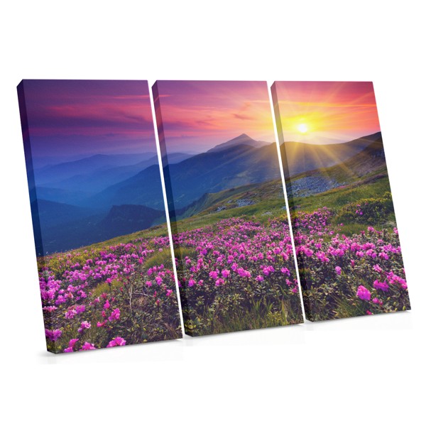 Wildblumenwiese bei Sonnenuntergang - Leinwanddruck