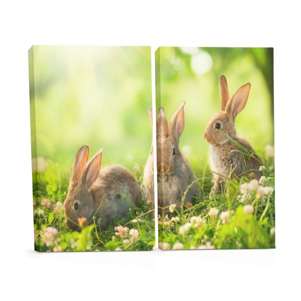 Easter Bunny in Spring Meadow Canvas Print
