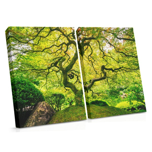 Tree of Life Canvas Print - Forest Canopy in Green & Gold