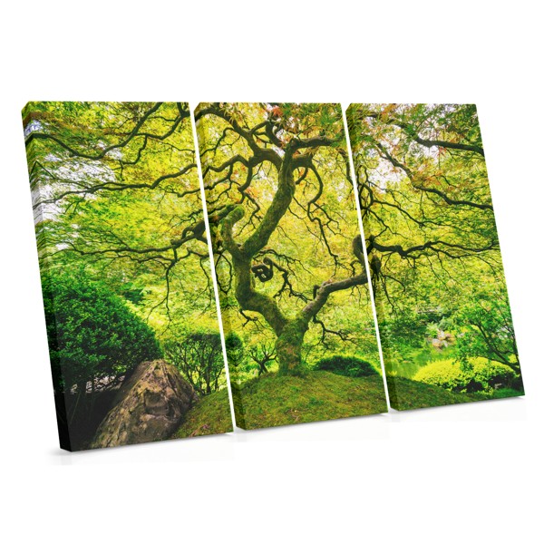 Tree of Life Canvas Print - Forest Canopy in Green & Gold