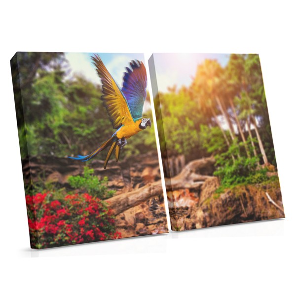 Impression sur Toile Perroquet en Vol