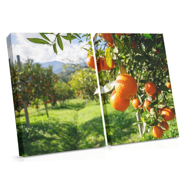 Fruit Garden Canvas Print