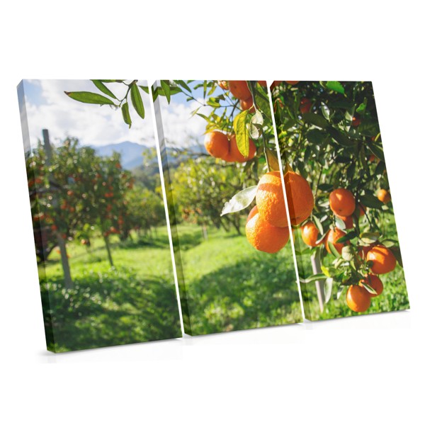 Hedelmäpuutarha Canvas Print