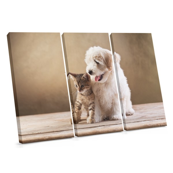 Dog and Cat Friends Canvas Print