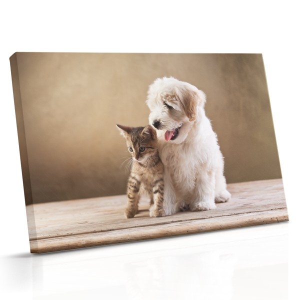 Tablou Canvas Câine și Pisică Prieteni