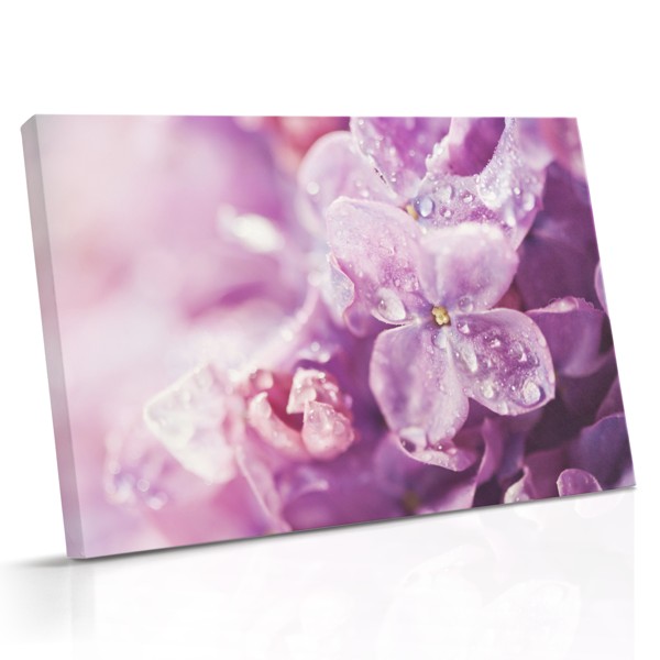 Impression sur Toile Fleurs Violettes avec Gouttes d'Eau