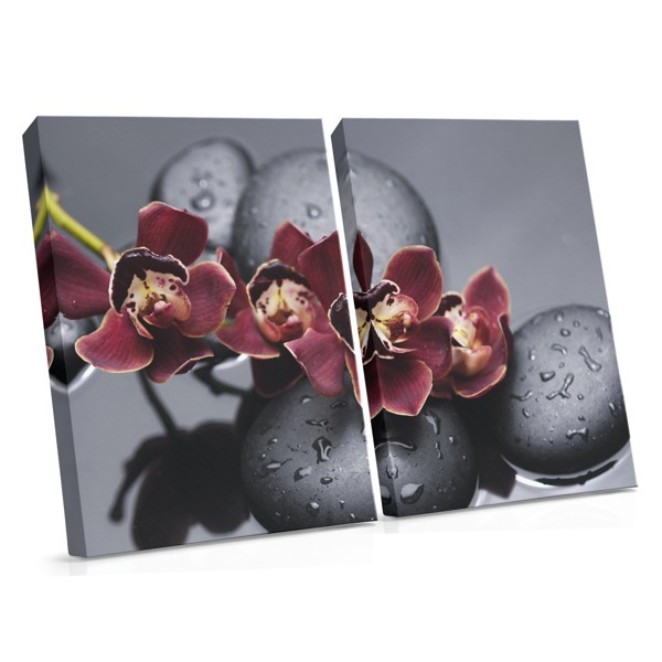 Ūdens Orhideja un Akmeņi Kanvas Prints