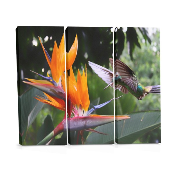 Birds and Flowers Canvas Print
