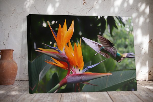 Birds and Flowers Canvas Print - on the wall in a room interior