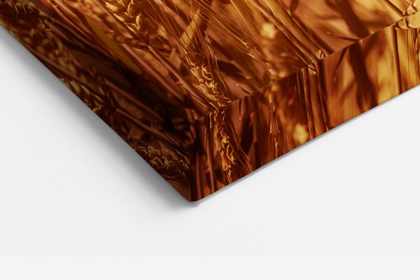 Golden Wheat Sprouts Canvas Print - on the wall in a room interior