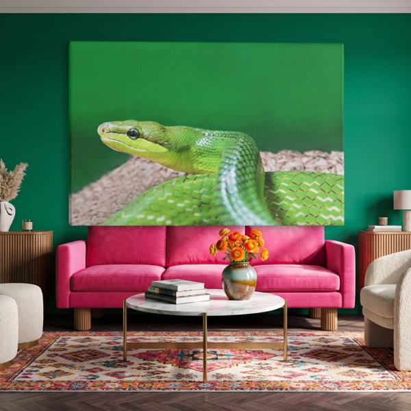The Viper Canvas Print - Coiled Snake in Natural Tones - on the wall in a room interior