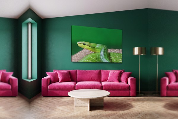 The Viper Canvas Print - Coiled Snake in Natural Tones - on the wall in a room interior