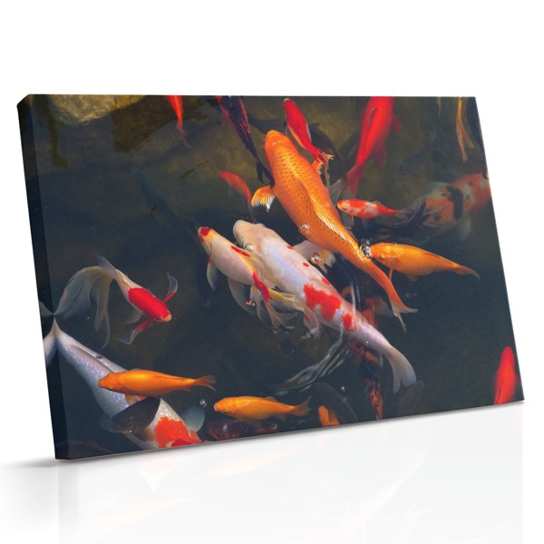 River Dwellers lærredstryk - Undervands fiskescene
