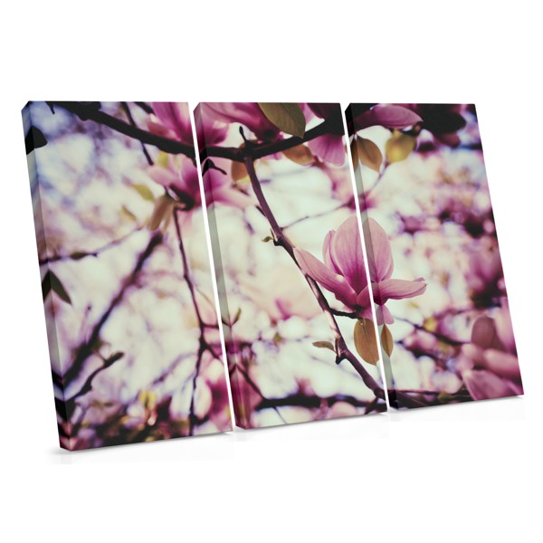 Leinwanddruck Frühjahrsblüten-Baum