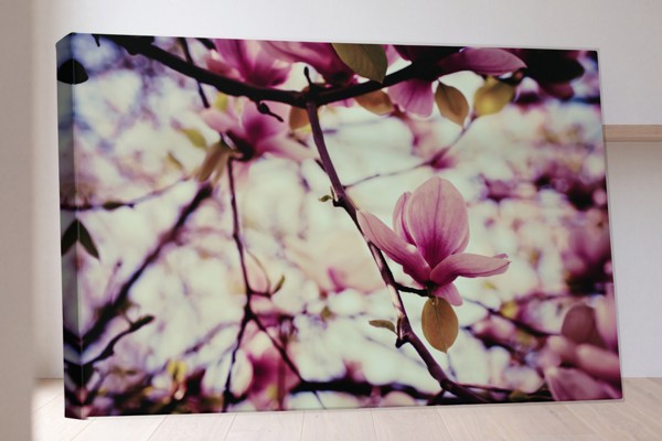 Impressão em Tela Árvore em Flor Primavera - na parede num interior