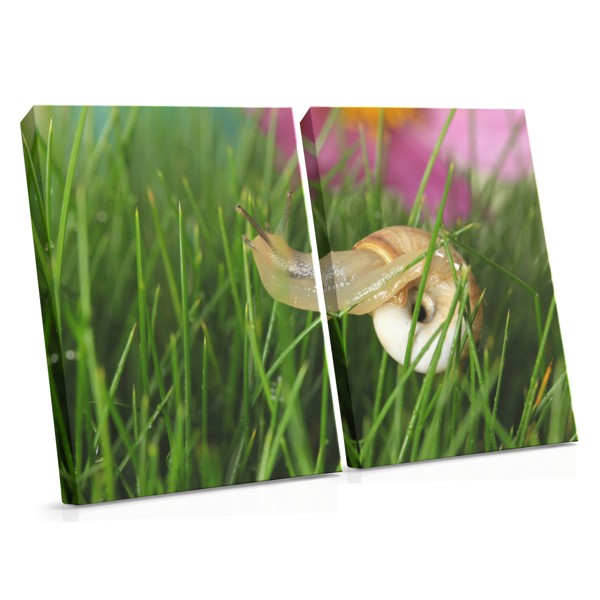 Impression sur Toile Flore de Jardin