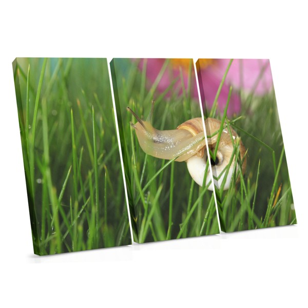 Gartenflora auf Leinwand - Kunstdruck