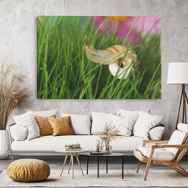 Tuinflora op Gras Canvas Print - aan de muur in een interieur