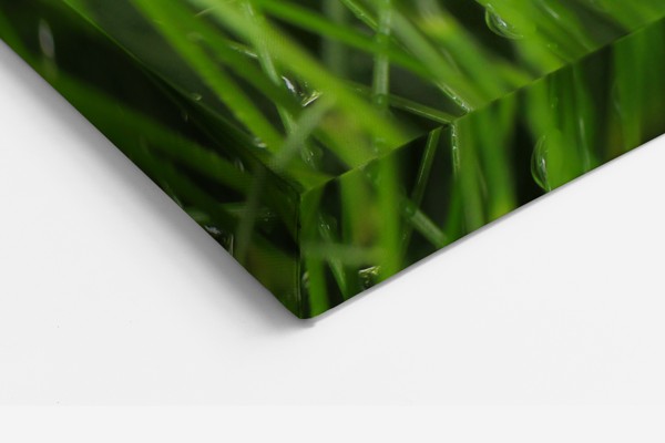 Tuinflora op Gras Canvas Print - aan de muur in een interieur