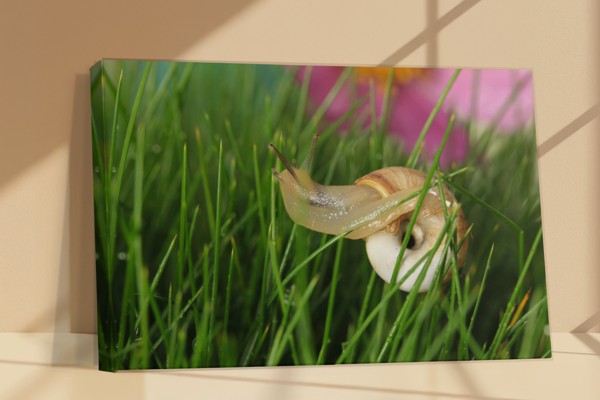 Tuinflora op Gras Canvas Print - aan de muur in een interieur