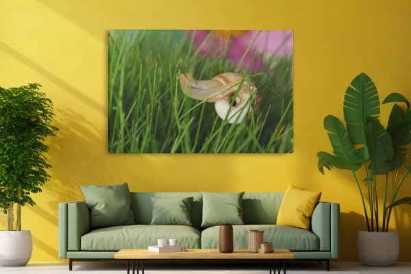 Tuinflora op Gras Canvas Print - aan de muur in een interieur