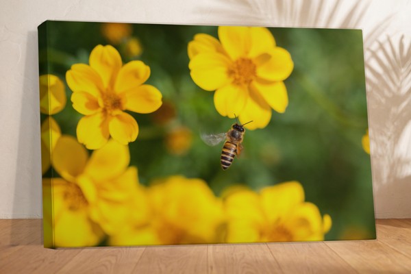 Impression sur Toile Fleurs de Jardin - au mur dans un intérieur