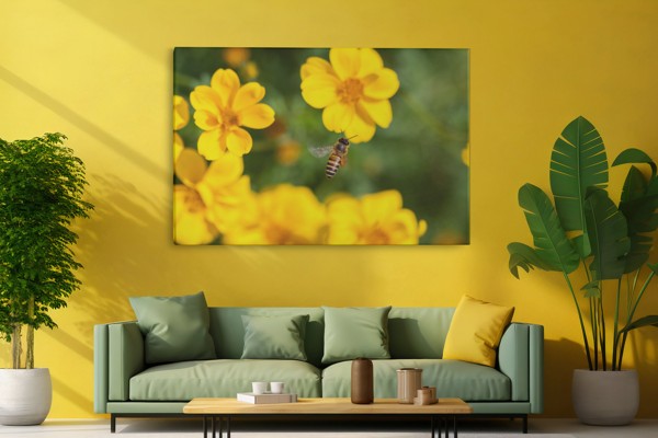 Impression sur Toile Fleurs de Jardin - au mur dans un intérieur