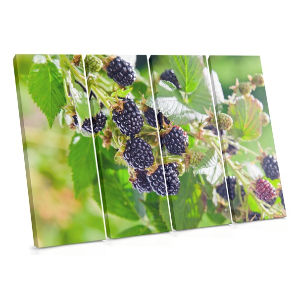 Maline na Grani Platno