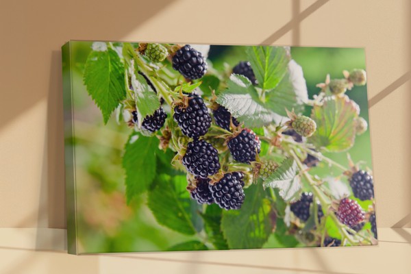 Maline na Grani Platno - na zidu u interijeru