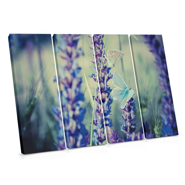 Πεταλούδα σε Άγρια Λουλούδια Canvas Print