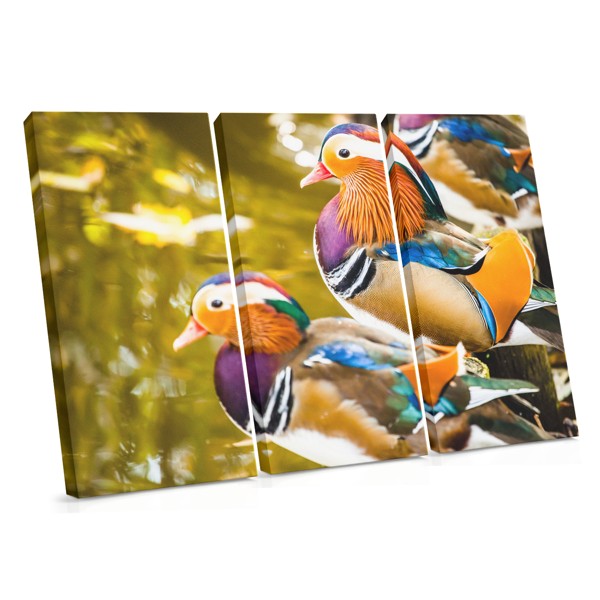 Mandarin Ducks Canvas Print - Feng Shui Pair