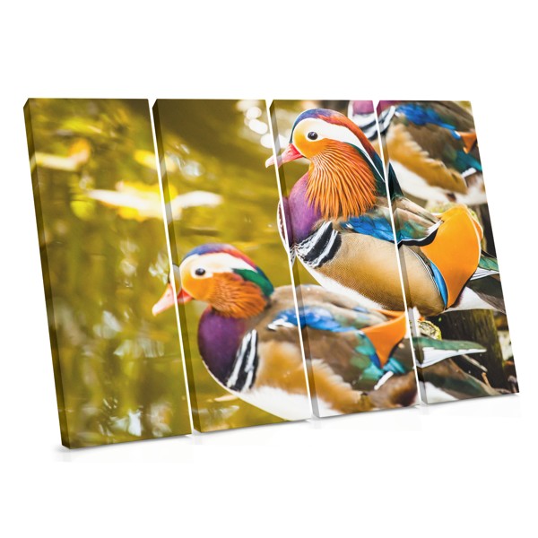 Mandarin Ducks Canvas Print - Feng Shui Pair