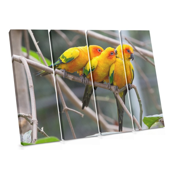 Two Parrots on Branch Canvas Print