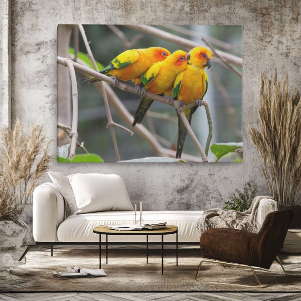 Two Parrots on Branch Canvas Print - on the wall in a room interior
