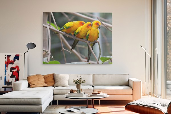 Two Parrots on Branch Canvas Print - on the wall in a room interior