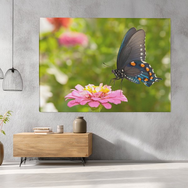 Butterfly on White Flower Canvas Print - on the wall in a room interior