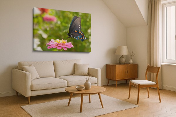 Butterfly on White Flower Canvas Print - on the wall in a room interior