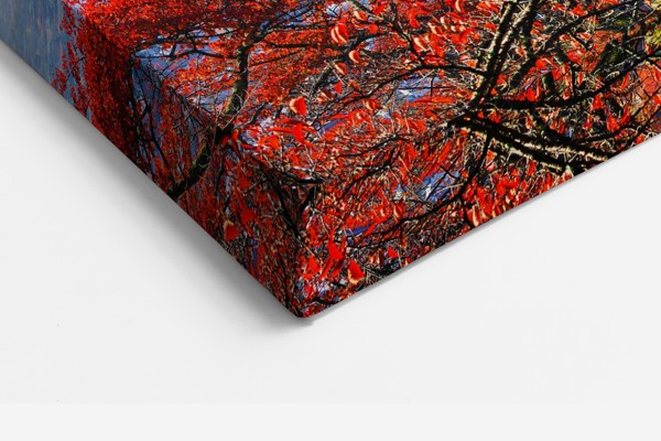 Japonų miesto ir kalno canvas spausdinys - ant sienos interjere